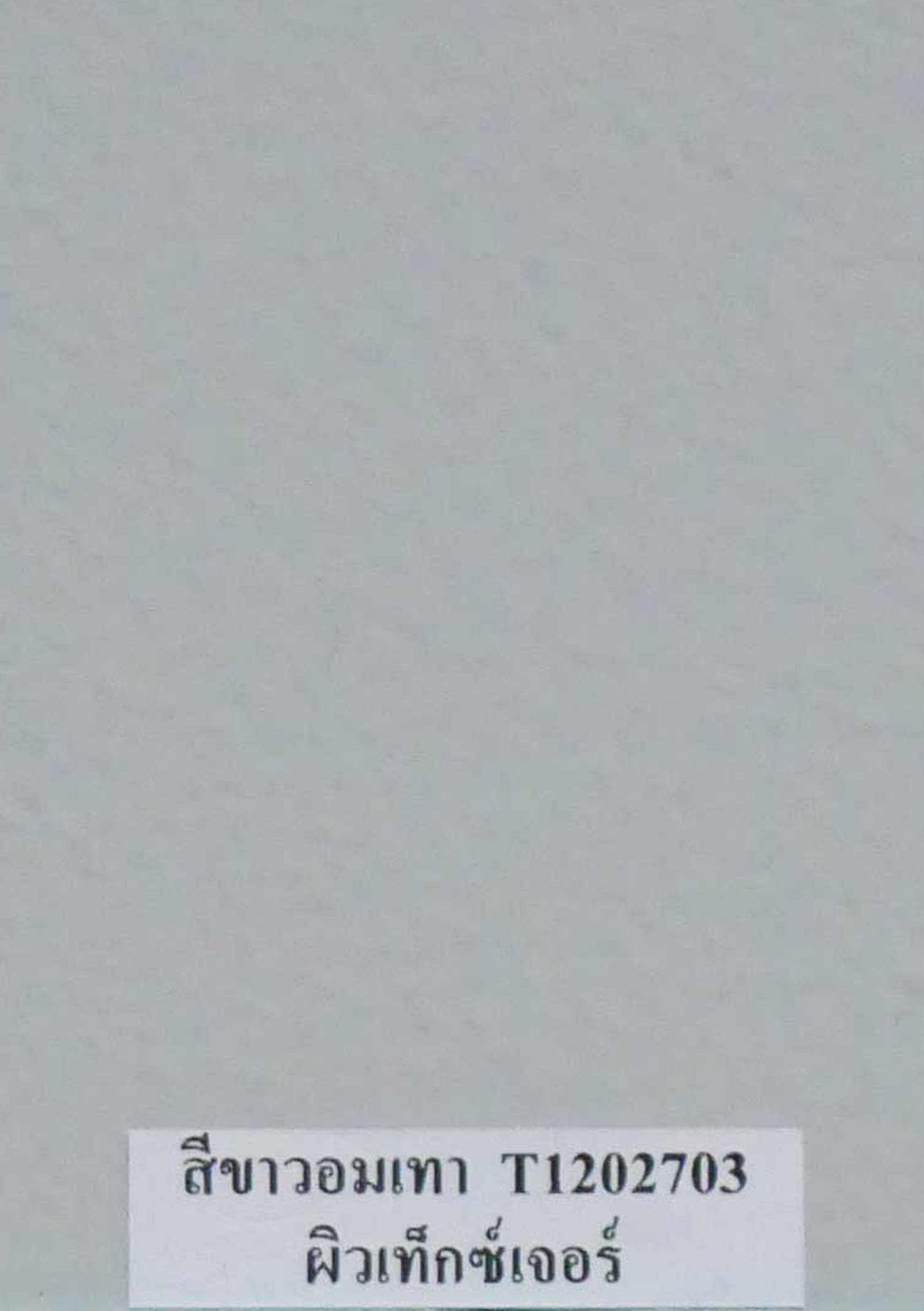 สีขาวอมเทา - ประตูเหล็ก